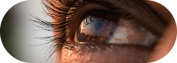 eye