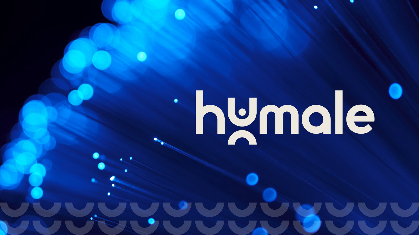 humale abstract